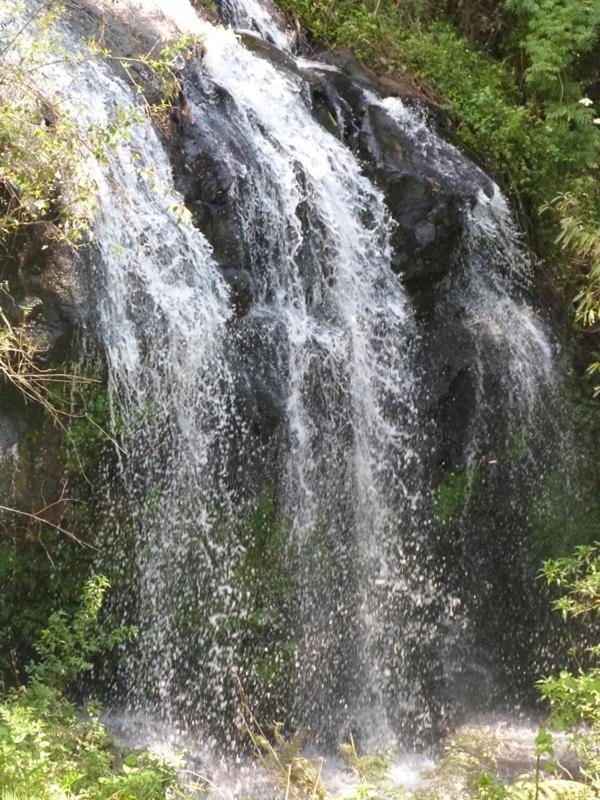 Casarao Da Cascata Villa Gramado Dış mekan fotoğraf