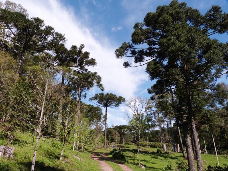 Casarao Da Cascata Villa Gramado Dış mekan fotoğraf