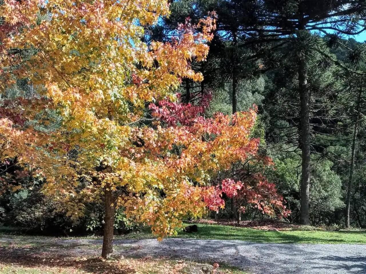 Casarao Da Cascata Villa Gramado Dış mekan fotoğraf